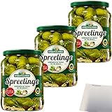 Spreewaldhof Spreelinge Gewürzgurken mit Dill und Zwiebeln 3er Pack (3x670g Glas) + usy Block
