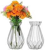 Belle Vous Vase Durchsichtig Kristallvase Vase Glas (2 STK) – 15cm Blumenvase Modern Zylinder Vase Glas Rund, Vase Bauchig Set als Dekoration für Zuhause, Tischdeko, Büro