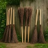 Reisigbesen Weide 160 x 45 cm mit Stiel 1 STK. - Natur...