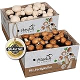 Hawlik Pilzbrut Champignon Pilzzuchtset Spar-Bundle XXL – 2 große Zuchtboxen für Steinchampignons und weiße Champignons – Pilze zuhause ohne Vorwissen oder Zubehör anbauen – etwa 6 kg Pilzernte!