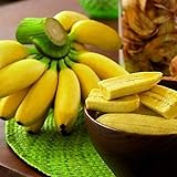 Benoon Bananensamen, 1 Beutel Bananensamen Süße Samen Mit Hoher Keimrate Frische Pflanzensamen Für Den Balkon Bananen
