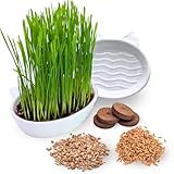 Green Mageo 4er Set Katzengras Samen - Gras Anzuchtset für Katzen - Gras zum Fressen für die Katze - 4x Katzengrassamen Set - Katzengras für Balkon und Wohnung