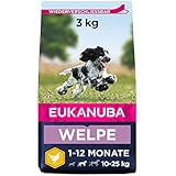 Eukanuba Welpenfutter mit frischem Huhn für mittelgroße Rassen, Premium Trockenfutter für Junior Hunde, 3 kg