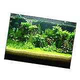 MotiveTech Aquarium Hintergrundbild 3D Aquarium Poster Fischbecken Landschaftsaufkleber Selbstklebende Rückwand PVC Material für Büro Geschenk