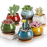 TOPZEA Set mit 6 Sukkulenten-Pflanzgefäßen, 10.2 cm glasierter Keramiktopf für Pflanze, Sukkulententopf mit Drainage und Untertasse, Mini-Bonsai-Pflanzgefäß, Blumentopf für Sukkulenten, Kaktus