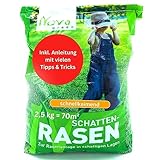 Premium Rasensamen Schattenrasen schnellkeimend Frühling 2,5kg = 70m² | dürreresistent, robust, tiefgrün | Ideal für Rasen Reparatur, Rasen Nachsaat, Neuansaat