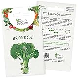 Brokkoli Samen: Premium Brokkoli Saatgut zur Anzucht von ca. 30 Brokkoli Pflanzen – Beste Gemüse Samen für Balkon und Garten kaufen – OwnGrown Samen bestellen zur Gemüsesamen Saat (Brassica oleracea)…