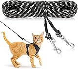 RANYPET Reflektierende Lange Leine für Katzen 15M/50FT Entfliehungssichere Laufleine Hof Lange Leine Langlebige Sichere Verlängerungsleine für Kätzchen, Welpen, Kaninchen und Kleintiere