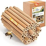 BEESI 100x Bambusröhrchen für Insektenhotel I 14 cm Länge...