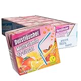 Durstlöscher Multivitamin Fruchtsaftgetränk 500ml 12er Pack