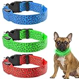 BAIFULAI 3 Stück Leuchthalsband Hund, Aufladbar Hundehalsband Leuchtend Einstellbar LED Halsband für Klein Mittel große Hunde für Nacht Sicherheit (Rot, Grün und Blau)
