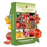 Tomatensamen Set 10 Sorten Tomaten Samen - Tomaten Saatgut Sortiment Anzuchtset Tomatenpflanzen - Geschenkset Samen Gemüse - Stabtomaten Balkontomaten Flaschentomaten Tomatensamen von Deine Gartenwelt