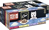 CESAR® Portionsbeutel Multipack Senior Selektion in Gelee 4 Varietäten 2 x 40 x 100g