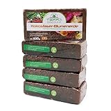 Terra Discount Kokosfaserhumus *Blumenerde* 5X ca.650g (ergibt ca. 45 Liter), Kokoserde als Hochbeeterde und für Pflanzen/Zimmerpflanzen, aus nachwachsenden Rohstoffen, torffrei und ungedüngt