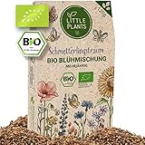 Little Plants Schmetterlingsweide - 125g Bio Samen - Blumenwiese Samen mehrjährig winterhart - Enthält 32 Sorten Wildblumensamen und Kräutersamen - Bienenwiese Saatgut - Nachhaltig verpackt