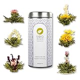 tea exclusive Teeblumen-Mix 'Flower Fantasy', 6 Sorten Teeblumen in schöner Metalldose & Foto-Booklet mit Zitaten, Grüner Weisser Tee mit Jasmin, Rose, Pfingstrose, Ringelblume, Hibiskus - Teegeschenk