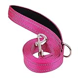 Petbuy Doppelseitige reflektierende Hundeleine für große und mittelgroße und kleine Hunde, starke und langlebige Haustier-Nylon-Leinen mit weich gepolstertem Griff, Welpenleine mit D-Ring (Hot Pink,