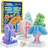 Blue Marble NATIONAL Geographic Bastelset für Kinder – Kristallzucht-Set, 6 Kristallbäume in 6 Stunden wachsen Lassen, Kunstzubehör, Geodenprobe, Mint-Bastelset