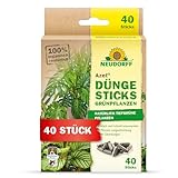 Neudorff Azet DüngeSticks für Grünpflanzen – Bio Düngestäbchen für kräftig grüne Grünpflanzen und Palmen mit 4 Monaten Langzeitwirkung, 40 Stück