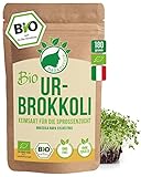 NanaNatura's Bio Ur-Brokkoli Sprossen Samen 180g | Keimfähige Brokkoli-Samen mit hohem Sulforaphan-Gehalt zur Brokkolisprossen Zucht | Microgreens fürs Sprossenglas