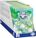 WC-Frisch Kraft Aktiv Pro Nature Minze und Eukalyptus (10er Pack), WC-Reiniger für Reinigung bei jeder Spülung, Duftsteine mit 95 % biologisch abbaubaren Duftstoffen für langanhaltend frischen Duft