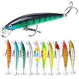 XVZ Angelköder für Forelle und Barsch, 10 Stück 10cm 9g Angeln Crankbait Set, Angeln harten Köder, Topwater Köder, Angel Geschenk für Männer