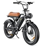 Finbike E-Bike mit All-Terrain 20 * 4.0 Zoll Fetten Reifen,Elektrofahrrad mit 10.4Ah Abnehmbarem Akku,4 Fahrmodi,PAS Reichweite MAX 100KM,Elektrofahrräder Mehr Komfort für Herren Damen