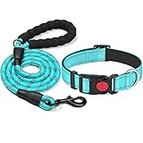 haapaw reflektierendes Hundehalsband gepolstert mit weichem Neopren atmungsaktiv einstellbar Nylon Hundehalsbänder für kleine mittlere große Hunde