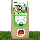 Rasensamen Sport und Spielrasen 0,5kg - Extra Robuster, Schnell wachsender Rasen - Rasensaat Spiel- und Sportrasen Made in Germany - Premium Grassamen schnellkeimend