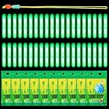 AOUZOVLI 50Pcs Knicklichter Angeln Angel Knicklichter Nachtlicht für Angelrute 4.5x37mm Glow Stick Nachtangeln für Nachtfischen Karpfen Raubfische Anfänger Angler mit 1 PE-Verstärkte Äste