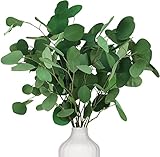 Oning Eukalyptus Getrocknet für Deko, 7-10 Pcs Natürliche Echt Silberdollar Eukalyptuszweige, 15-17'' Eucalyptus Dekoration Silberdollarblätter für Hochzeit, Haus Pflanz