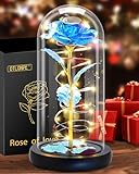 Otlonpe Ewige Rose Geschenke für Frauen, Blumen Geburtstagsgeschenk Weihnachten Geschenke Muttertagsgeschenke Valentinstag Rose Geschenk für Sie Fraue Mama Freundin Oma