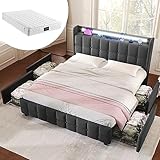 buiesjole Polsterbett mit Aufladen USB Ladefunktion Kopfteil und LED-Beleuchtung und 4 Schubladen,Doppelbett 160x200cm Stauraumbetten Bettgestell, Lattenrost aus Holz, Grau (Mit Matratze)
