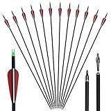 Huntingdoor 12er Pack 30 Zoll Carbonpfeile Jagdpfeile mit...