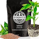 Mykorrhiza-Impfmittel von DYNOMYCO - Hochleistungsstämme - Konzentrierte Formel - Verbessert die Nährstoffaufnahme - Steigert den Pflanzenertrag (3.5 Oz/Up to 20 Plants)