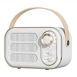 MIAOHY Retro Speaker 360 Stereo Effect Mini Speaker Vintage Radio Home Decor Sound Box for Outdoor (Color : B, Size : 12.5 x 7.5 x 5.9cm)