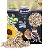 Lyra Pet® | 25 kg Sonnenblumenkerne Geschält | Vogelfutter für das Ganze Jahr | Premium Wildvogelfutter | Idealer Energiespender für Sommer und Winter | Vogelstreufutter für Wildvögel | Ohne Schale