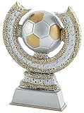 Art-Trophies AT4138 Pokal, für Erwachsene, Unisex, Mehrfarbig, 14 cm