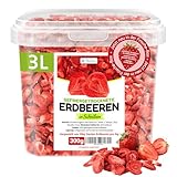 Detox Organica GEFRIERGETROCKNETE ERDBEEREN, 300g Früchte...