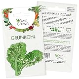 Grünkohl Samen: Premium Grünkohl Saatgut zur Anzucht von 200 Grünkohl Pflanzen – Wintergemüse Samen für Hochbeet und Garten – Samen Gemüse winterhart – Gemüse Samen – Saatgut Wintergemüse von OwnGrown