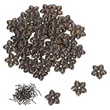 Mikikit 100 Satz Teiliges Vintage Polsternägel Metall Dekorative Möbelnägel Robuste Ziernägel für Sofa Stuhl Kopfteil und Wand Vielseitige Push Pins für Möbel Wanddekoration