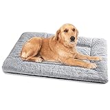 Baodan Hundebett Mittelgroße Kleine Hunde, Hundekissen Waschbar Dog Bed - 75x55 cm Superweich Katzenbett mit Rutschfester Unterseite - Grau