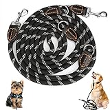 Hundeleine für große und mittelgroße Hunde - Verstellbare Doppelleine aus Nylon mit 2 Karabinerhaken und 3 Ringen - 3m x 15mm - Schwarze