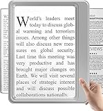 NZQXJXZ Leselupe für Senioren Groß, 5X Lesehilfe für Senioren, Lupe zum Lesen, Arbeit, Sehschwäche, Ganzseitiger Sichtbereich, Ideal für Sehbehinderte Person und Senioren, Silber