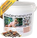 Canifee - Eichhörnchenfutter 2.2 kg artgerechtes Wildtierfutter als ganzjährige Futtermischung - Ganzjahresfutter mit der extra Portion Haselnüsse - auch für Streifenhörnchen