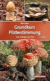 Grundkurs Pilzbestimmung: Vom Anfänger zum Profi (Quelle & Meyer Bestimmungsbücher)