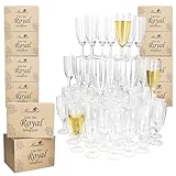 MamboCat 12er Set Royal Sektgläser I 140ml, Höhe 16cm I modernes klares Sektglas mit Fuß I Sektflöte für Prosecco, Champagner & Co I transparente Gläser für Hochzeit, Partys, Geburtstage