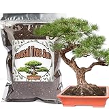 Bonsai-Erde-Mischung gebrauchsfertig, organische Bonsai-Baum-Erde passend für kleine Bonsai-Töpfe, geeignet für Bonsai-Sämlinge, Umtopfen oder Bonsai-Starter-Set (1L)