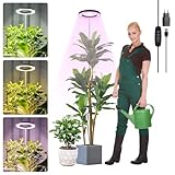 LUZOON Pflanzenlampe LED Vollspektrum mit Standfuß für Zimmerpflanzen 30cm~147cm Höhenverstellbar 3 Farben Grow Light mit Timer 3/9/12H, 10 dimmbare Stufen mit USB Adapter Schwarz [Energieklasse C]