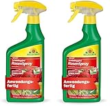 Neudorff Spruzit Schädlingsfrei Rosenspray AF 2x 750 ml saugende Insekten Thripse Zikaden Blattläuse Schildläuse Wollläuse, Schmierläuse, Spinnmilben, Weiße Fliege, Raupen